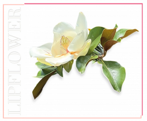 Lip Flower Magnolie 181 - ohne Titandioxid aus Obst und Gemüse